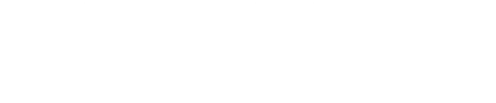 SRON Logo